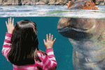  salidas y actividades para hacer con los niños